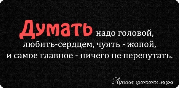 Голова должна. Думай своей головой цитаты. Главное дружить с головой. Подружиться головой. Не дружит с головой.