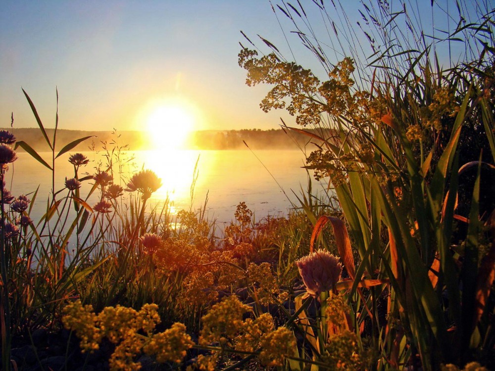 Будет ясный новый день. Летнее утро. Рассвет летом. Природа рассвет. Рассвет солнца.